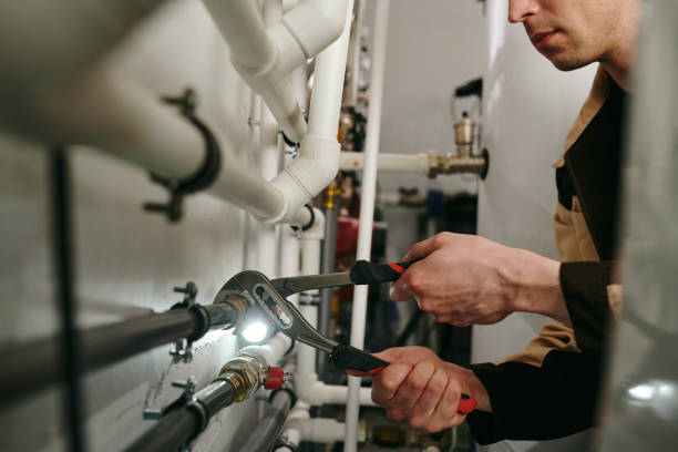 Best Local Plumber Services  in Elsmere, KY