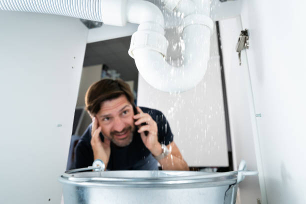 Best Sewer Line Repair  in Elsmere, KY