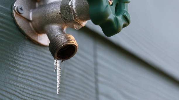 Best Clogged Drain Plumber  in Elsmere, KY